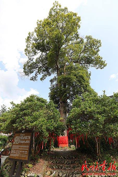 贵州铜仁乡村振兴正当时--美丽侗寨入画来