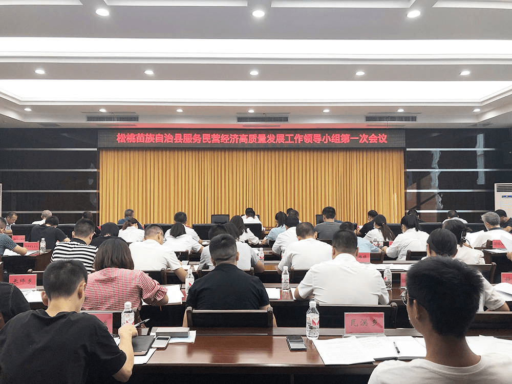 松桃服务民营经济高质量发展工作领导小组第一次会议召开