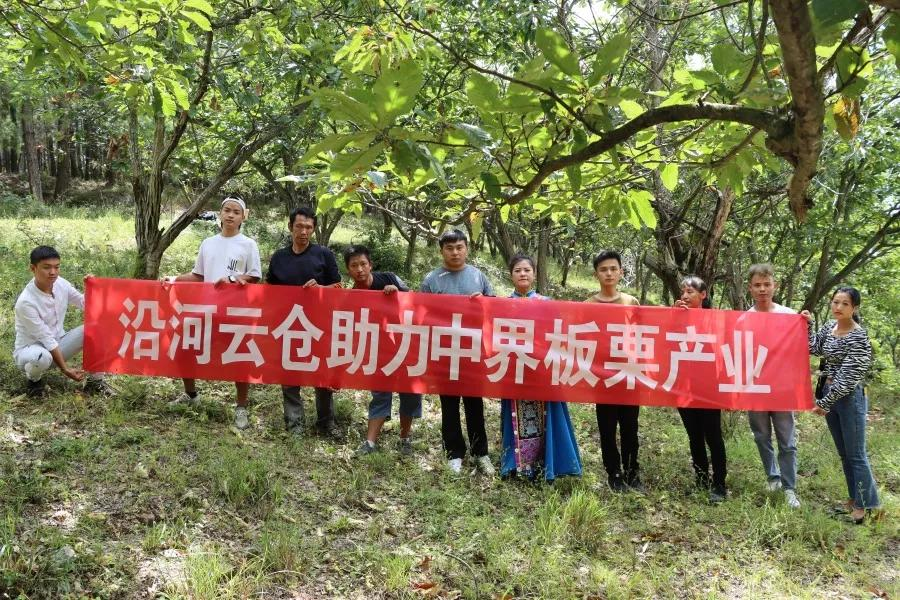 线上线下齐发力 沿货出山路更宽