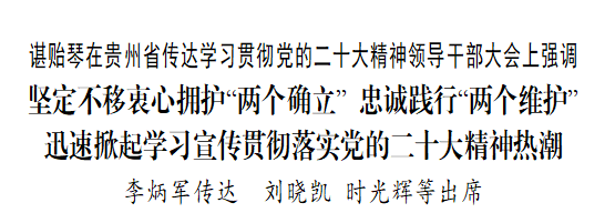 贵州省传达学习贯彻党的二十大精神领导干部大会召开 谌贻琴主持并讲话