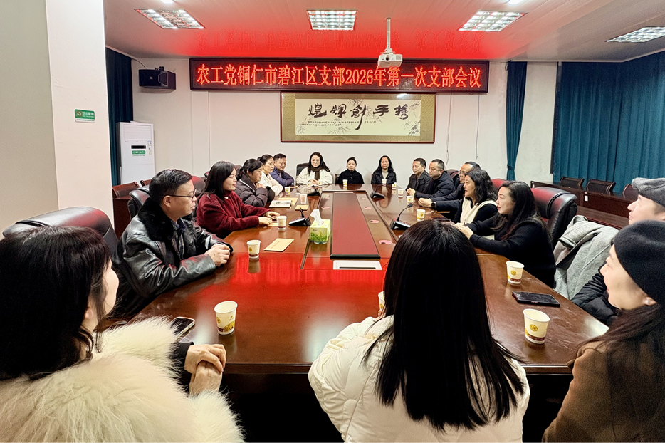 农工党碧江区支部召开2026年 第一次支部会议