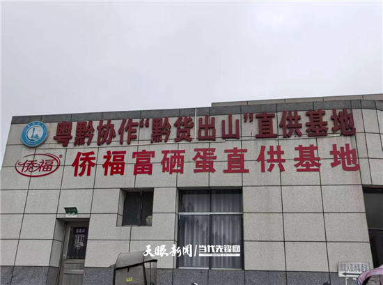 一枚小鸡蛋，撬动铜仁百亿富民产业