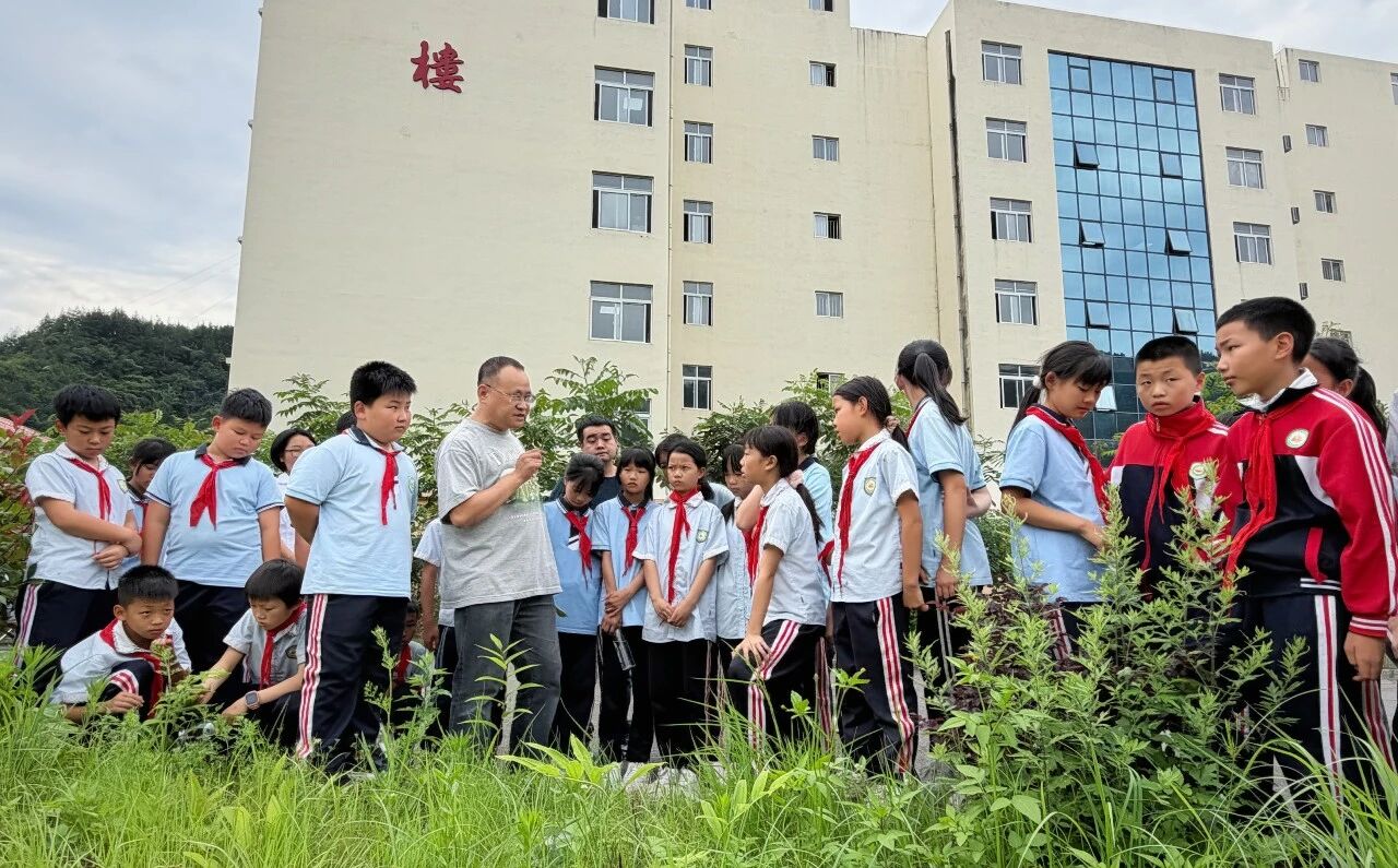 九三学社印江支社组织合水小学到中医颐养中心开展中医药文化体验活动