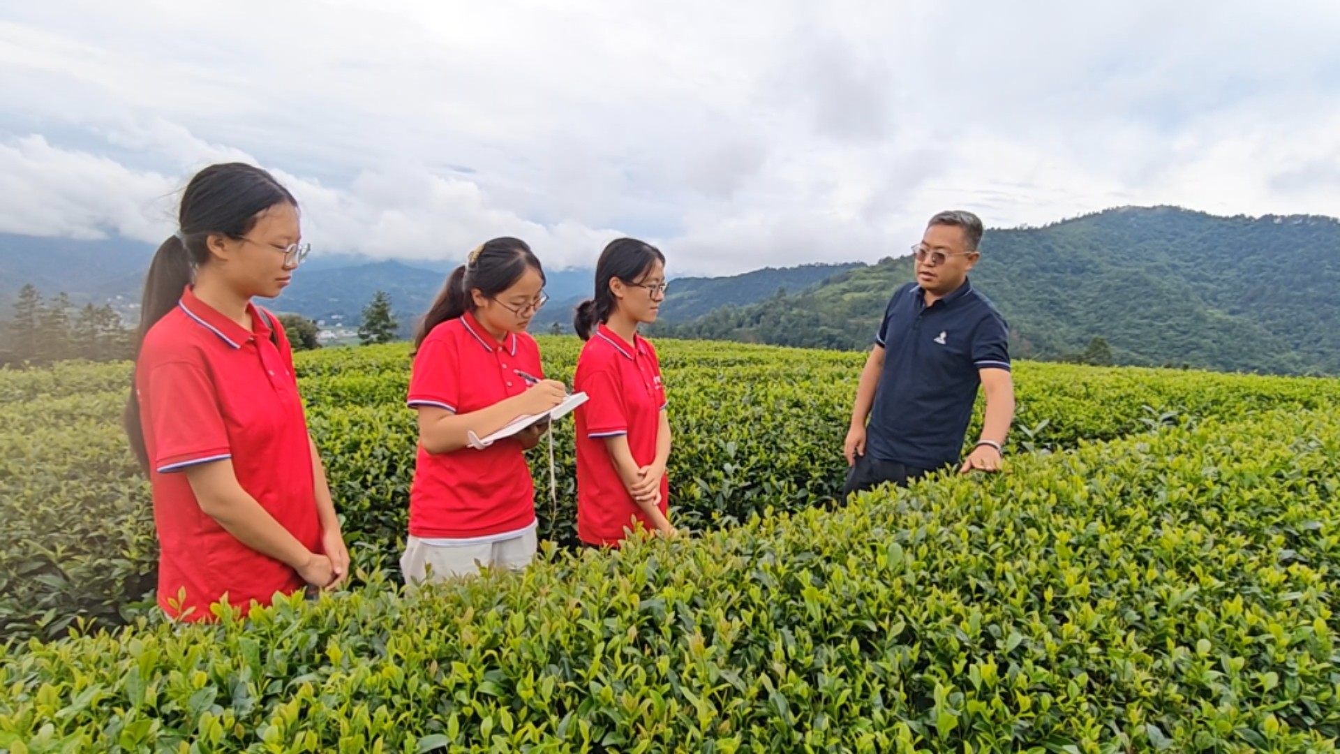 将实验室搬进茶山  ——农工党铜仁职大支部以科研实干 赋能抹茶产业高质量发展